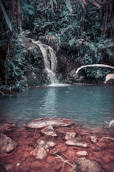 waterfall surround by trees