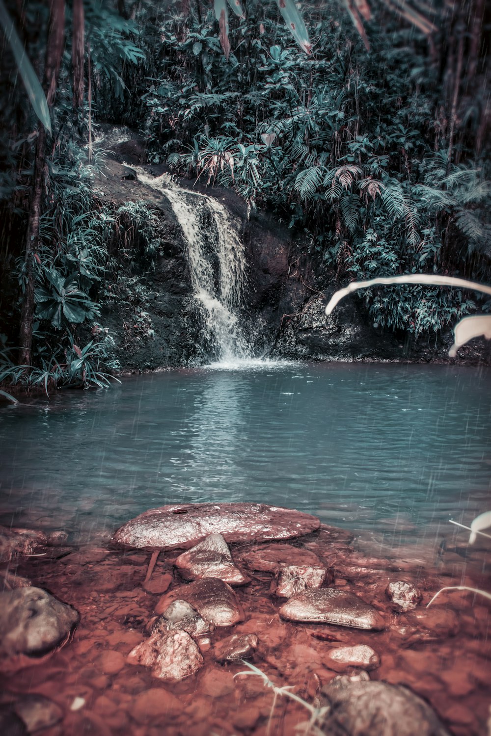 cachoeira cercada por árvores