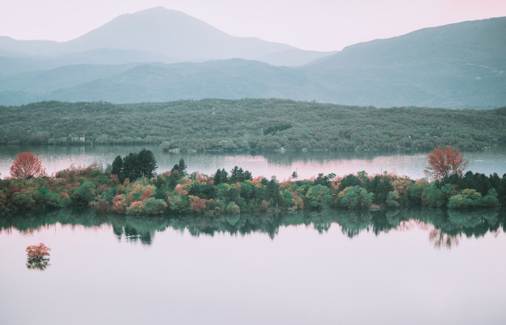 green island near trees viewing body of water