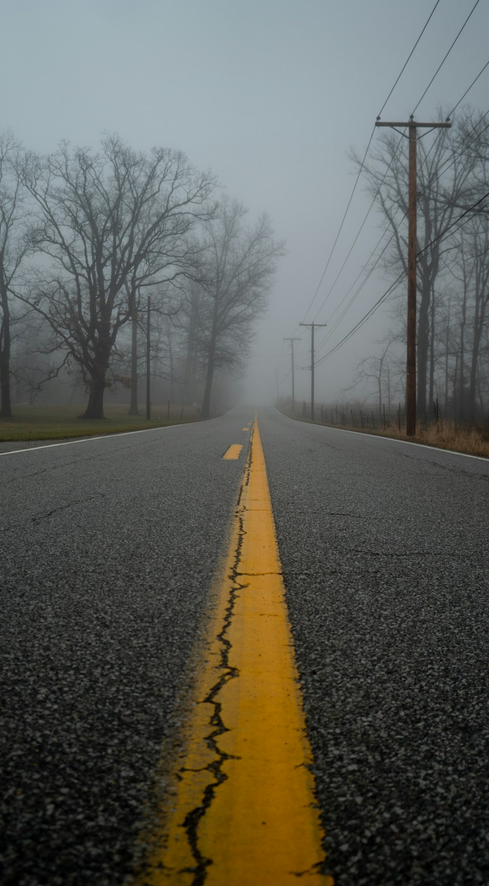 asphalt road between trees during daytime