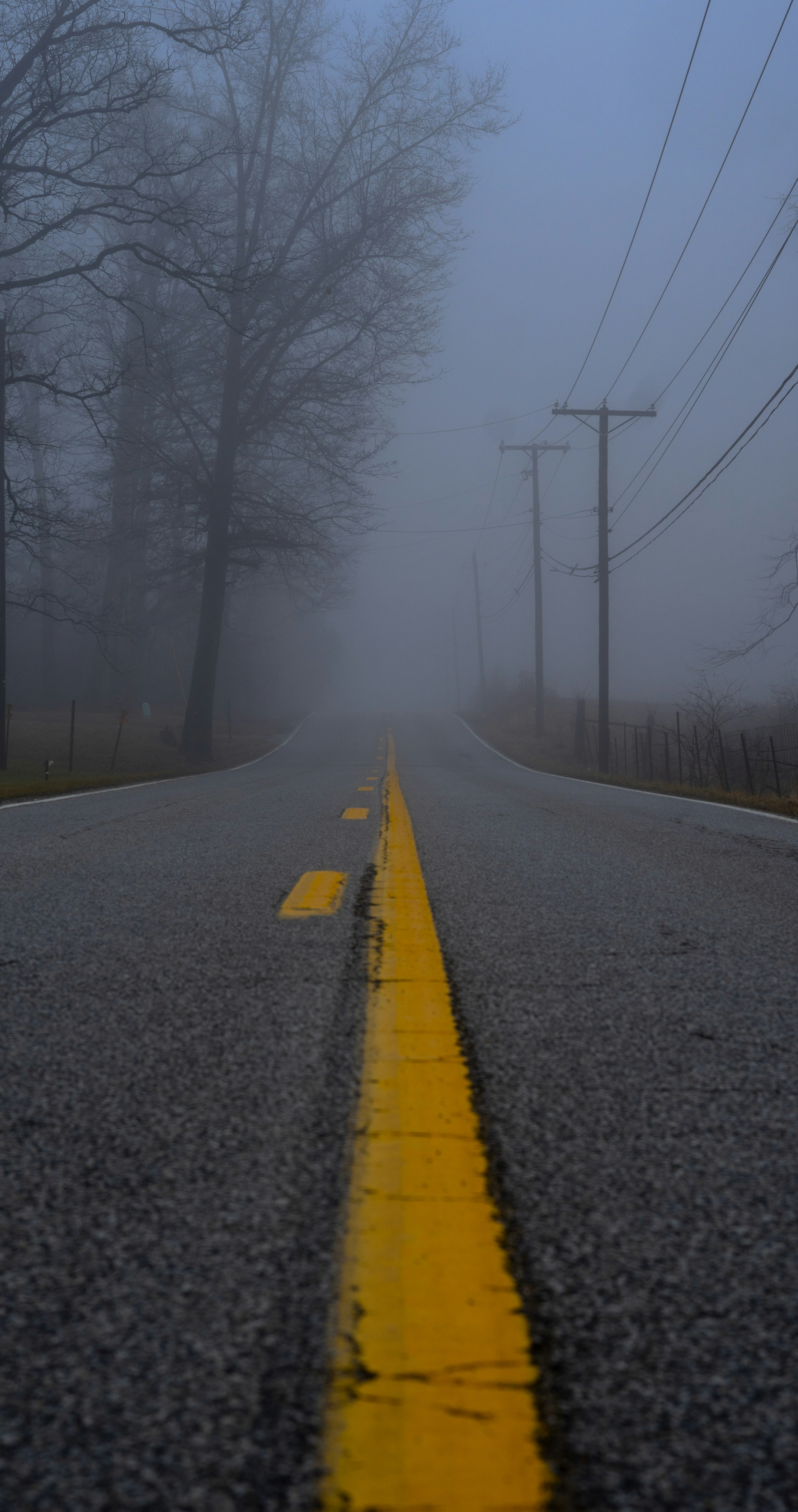 photo-1549492470-71a570de8e05?ixid=M3wxMjA3fDB8MXxzZWFyY2h8MTU5fHxmcmVlJTIwY2hhdGdwdHxlbnwwfHx8fDE3Mzc3MjI3NzB8MA%5Cu0026ixlib=rb-4.0.3