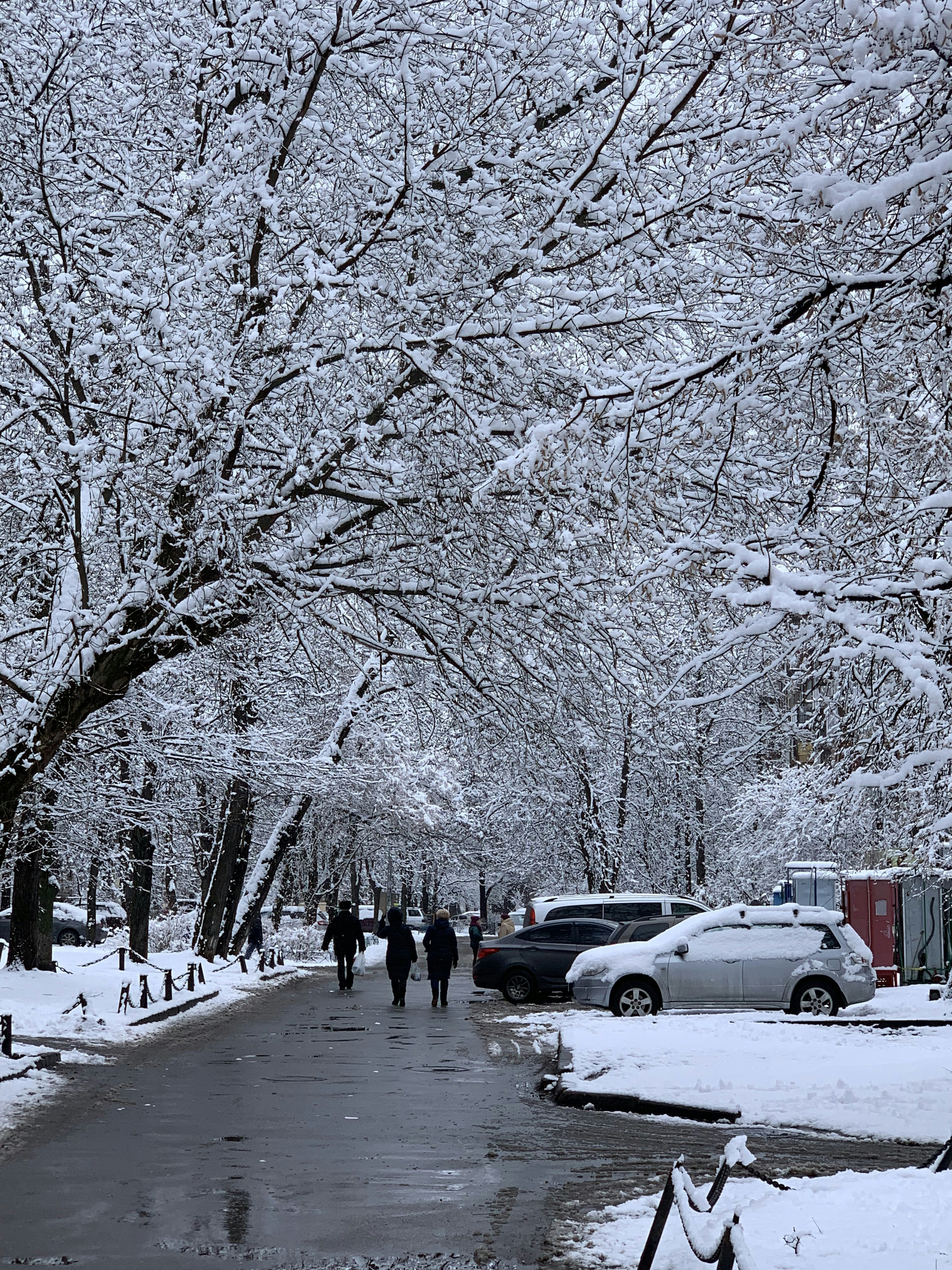 Photo by mohammedmunaf