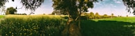 A panoramic view of a lush green field with farming equipment.