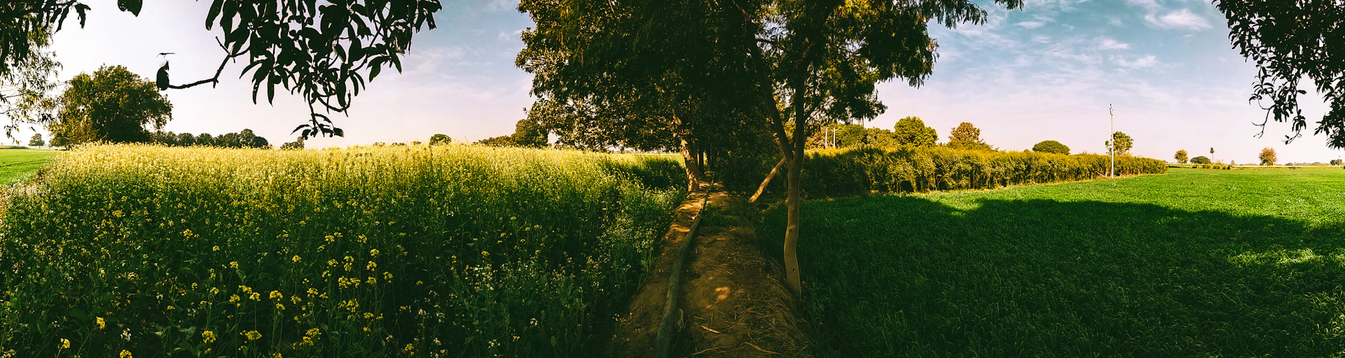 woman wearing yellow long-sleeved dress under white clouds and blue sky during daytime