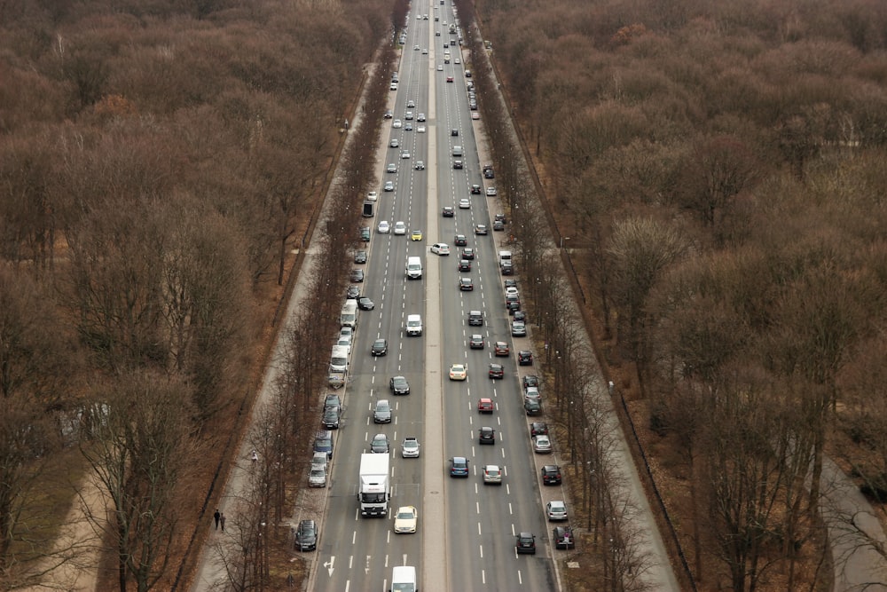aerial view of cars on highway between trees