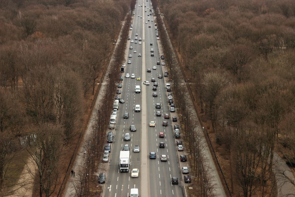 Vue aérienne de voitures sur l’autoroute entre les arbres