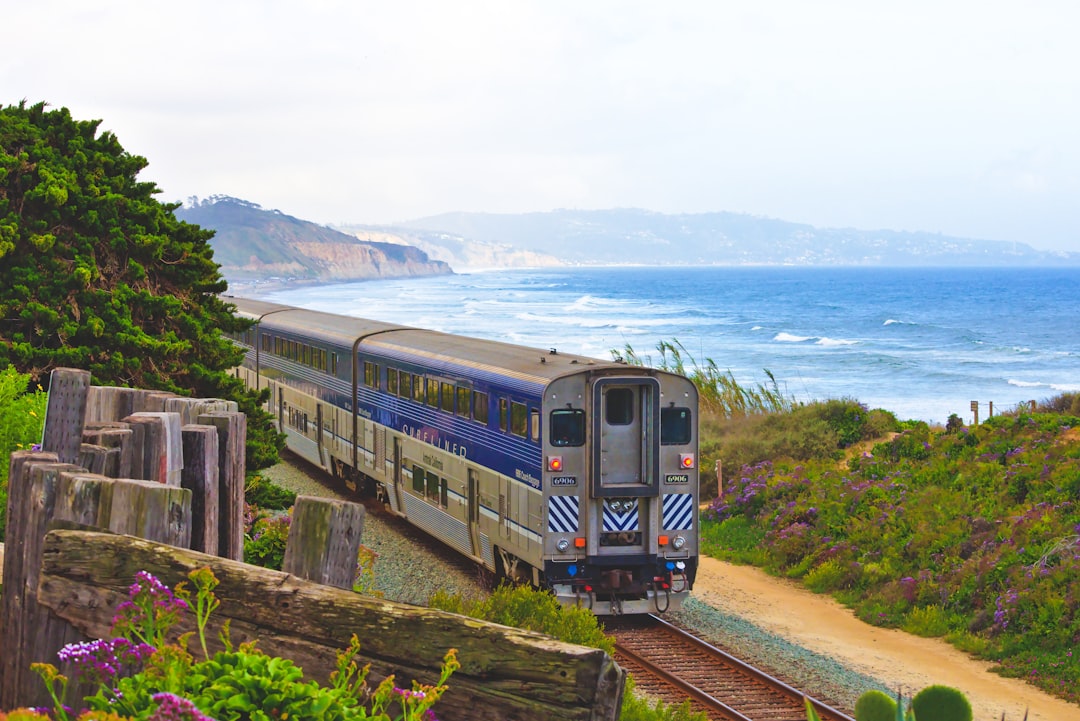 gray and blue train passing near body of water,