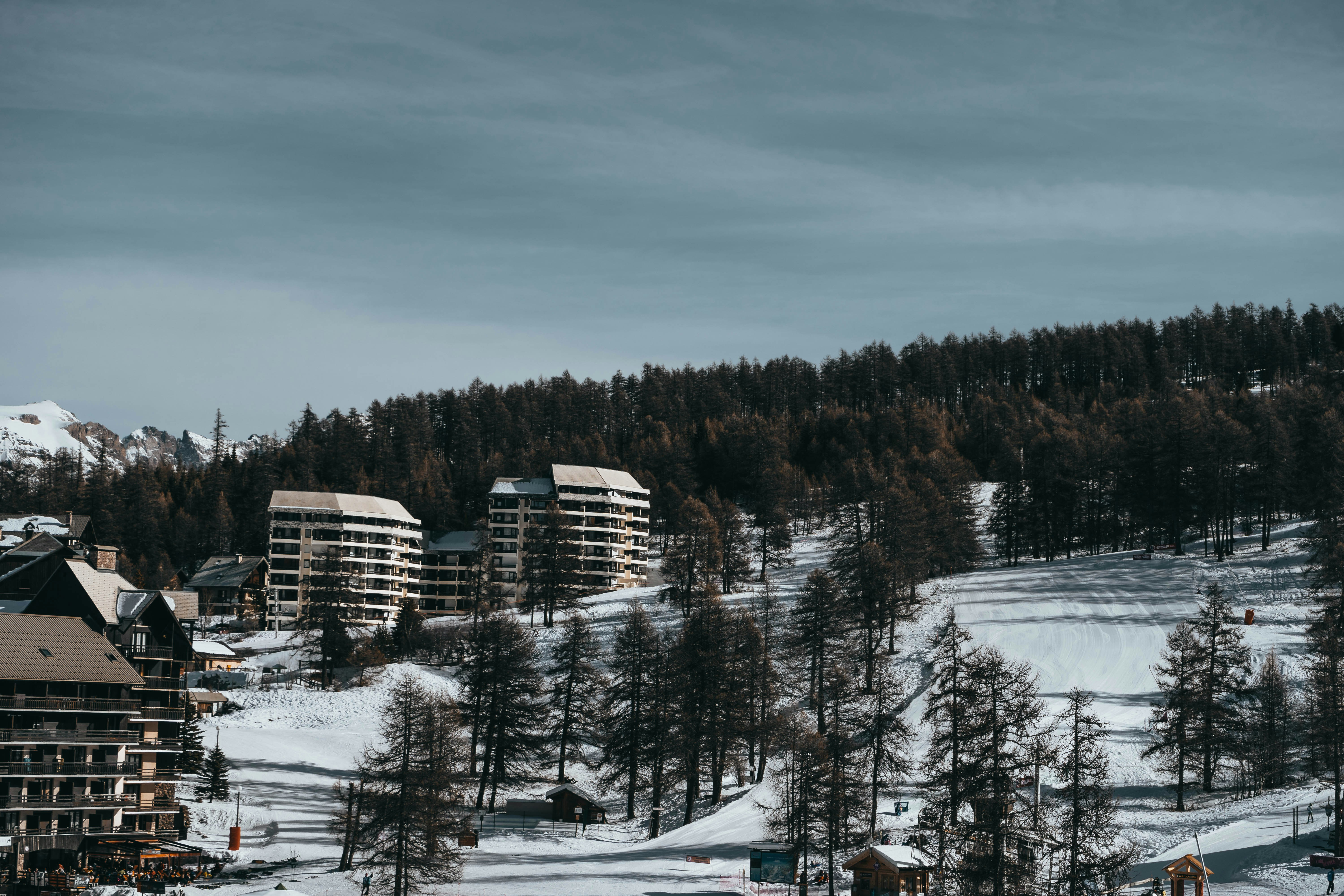 Photo by joanoger