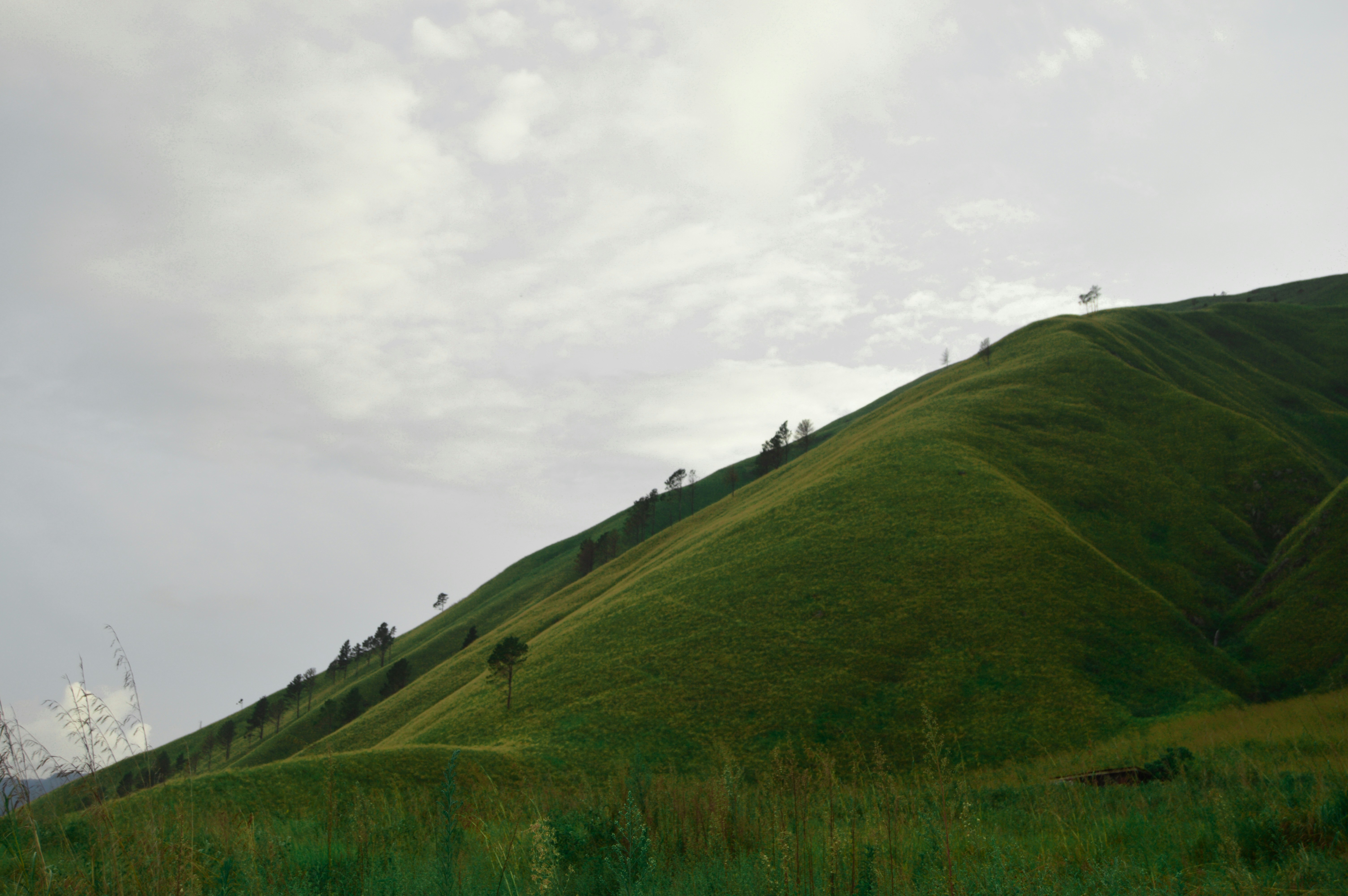 Stop image for Natchez to Nashville: Southern Heritage & Scenic Highways Weekend - green grass-covered mountain -  in Mississippi, Alabama, Tennessee - Photo by raissa situmorang on Unsplash