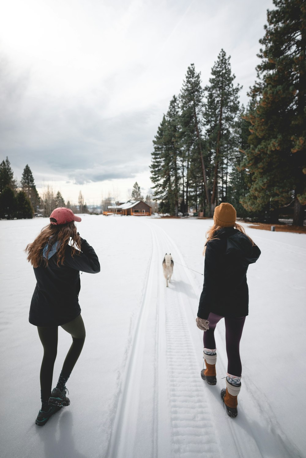 duas pessoas no campo de neve