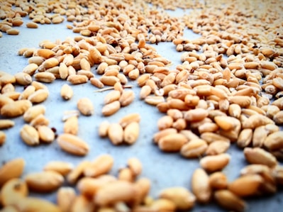Close-up of golden wheat grains spilling from a rustic sack onto a wooden surface