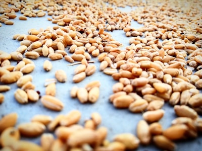 A close-up view of numerous wheat grains spread out on a flat surface, highlighting their natural texture and golden-brown color.