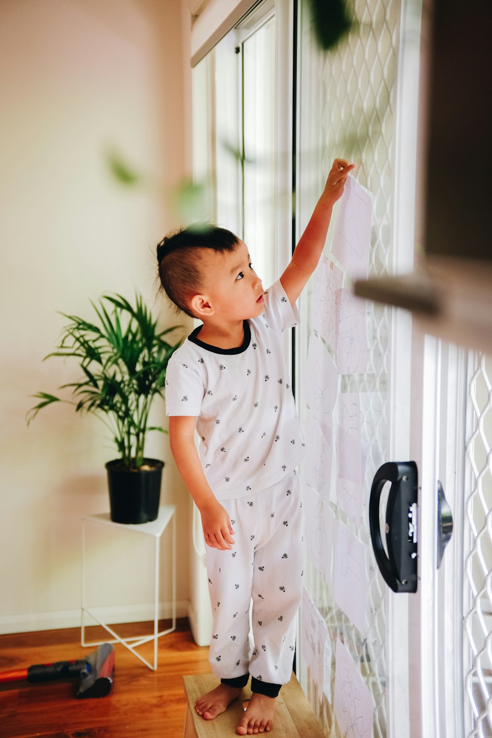 boy standing beside glass door and green linear leafed plant