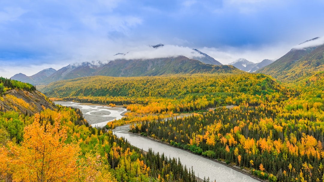 river beside forest under bright sky,