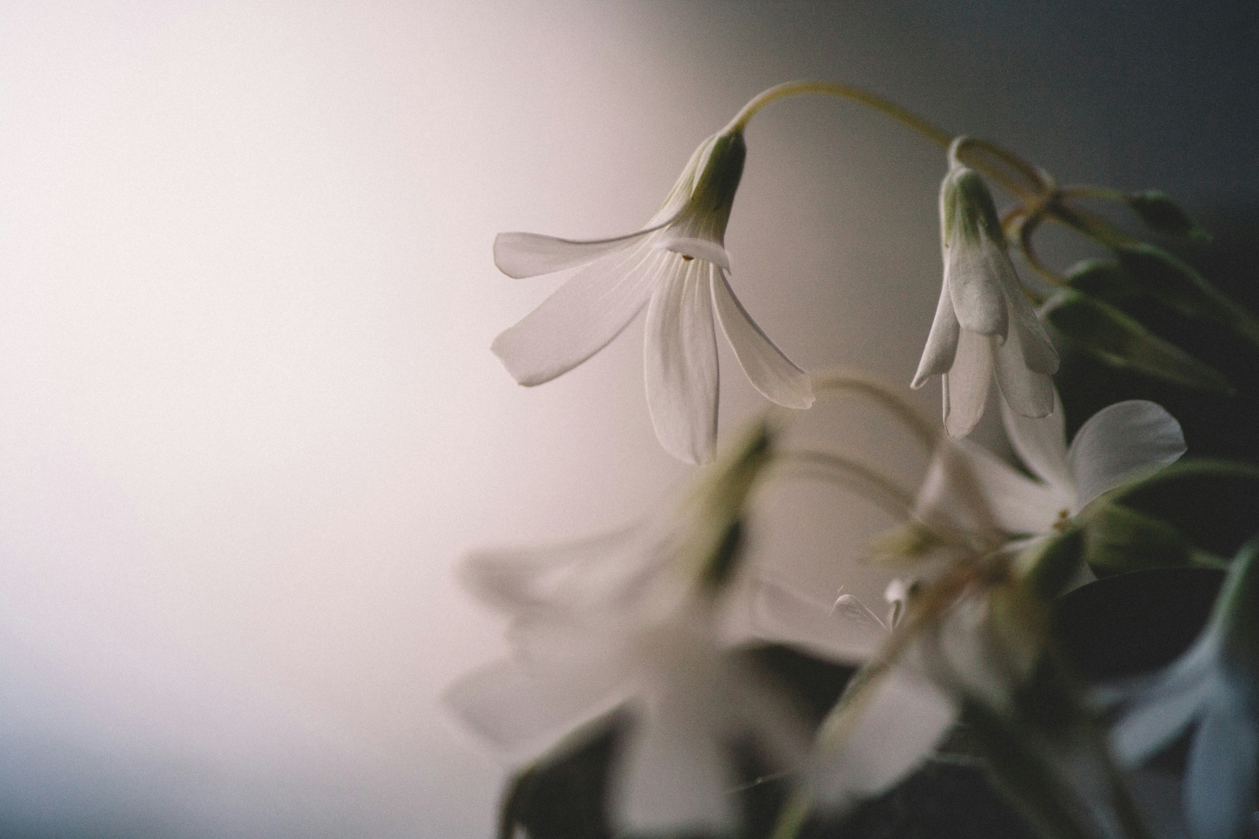 Photo by onmywayhome