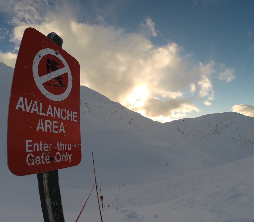 Avalanche Area signage on snow field