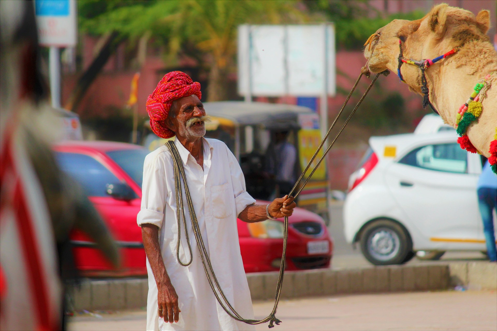 man holding camels rope during daytime