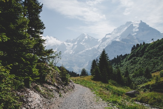 A picturesque mountain landscape featuring a gravel path winding through lush green foliage and trees. Snow-capped mountains rise majestically in the background under a partly cloudy sky, with sunlight gently illuminating the scenery.