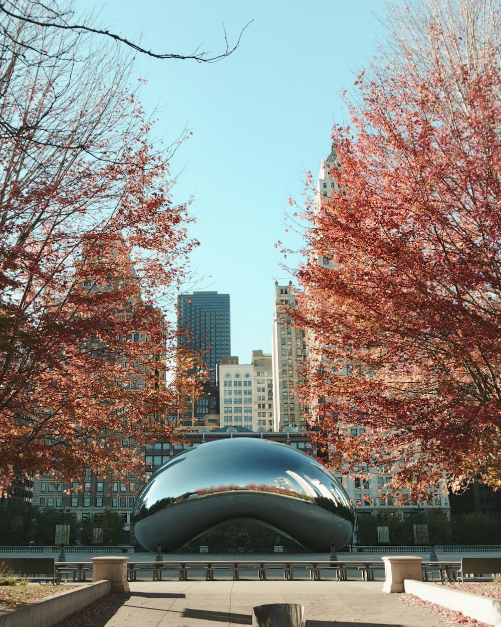 Cloud Gate, Chicago di giorno