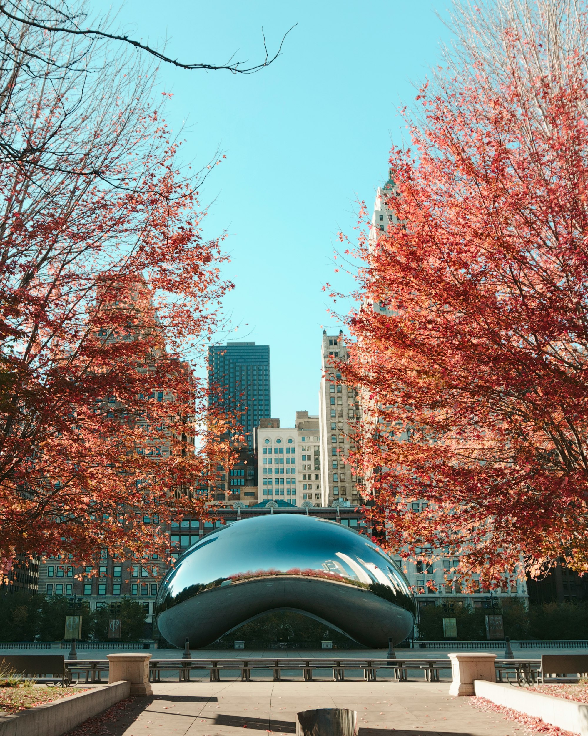 Spotlight on Chicago