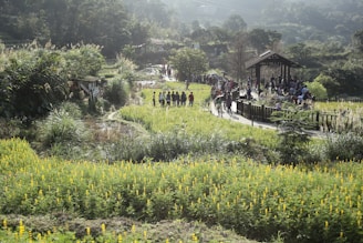 A serene spiritual gathering in a natural setting with soft green and saffron hues.