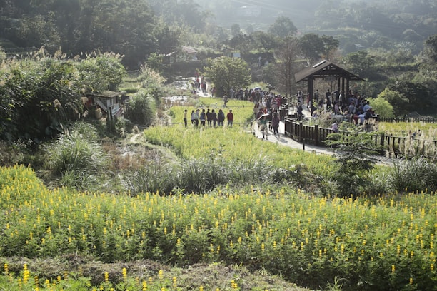 A serene spiritual gathering in a natural setting with soft green and saffron hues.