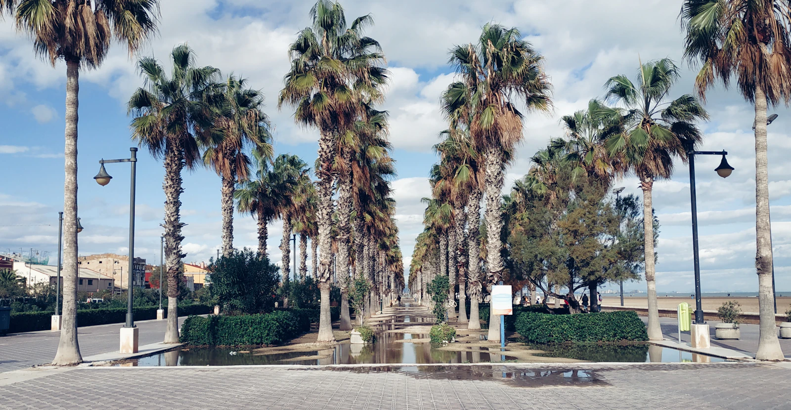 Paseo de palmeras junto a la playa en Valencia