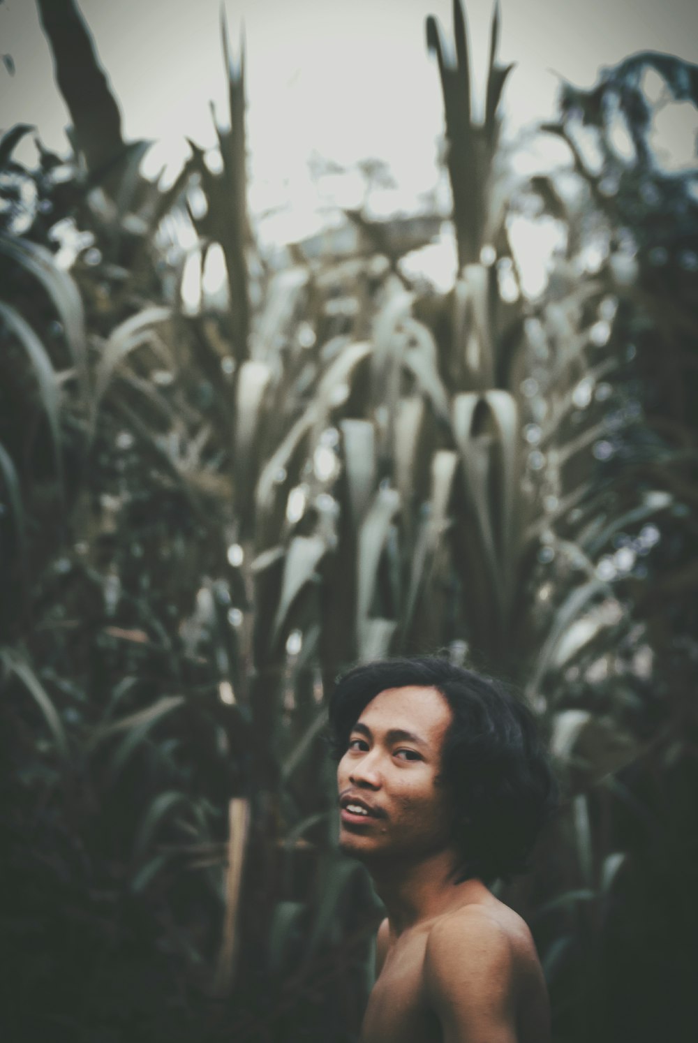 selective focus photography of topless man standing beside green plants