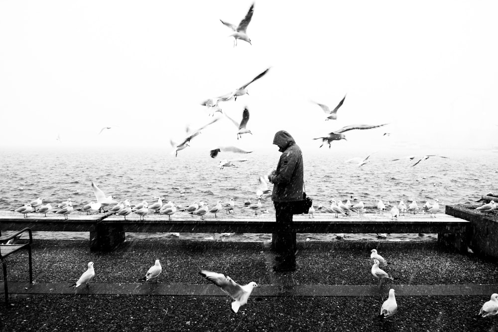 Photo en niveaux de gris d’une personne en sweat à capuche gris entourée d’oiseaux volants