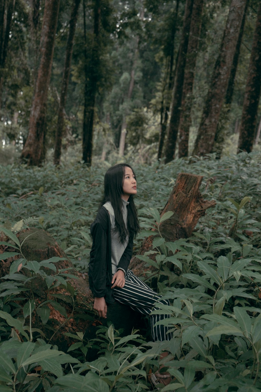 woman sitting on tree log in middle of forest during daytime