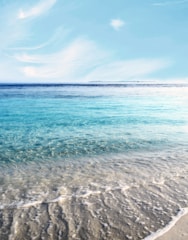 A serene beach scene with clean sand and clear water.