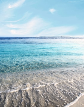 A serene beach scene with clean sand and clear water.
