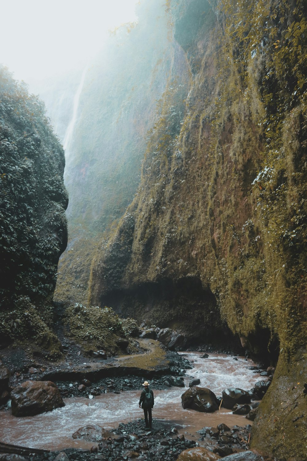 person standung besid body if water