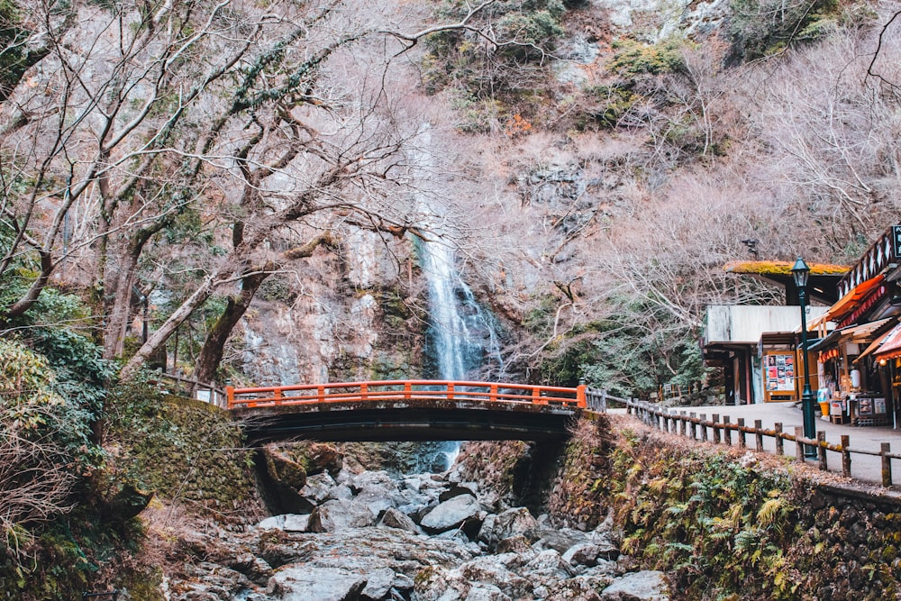 bridge near raging waterfall