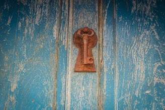 brown skeleton key