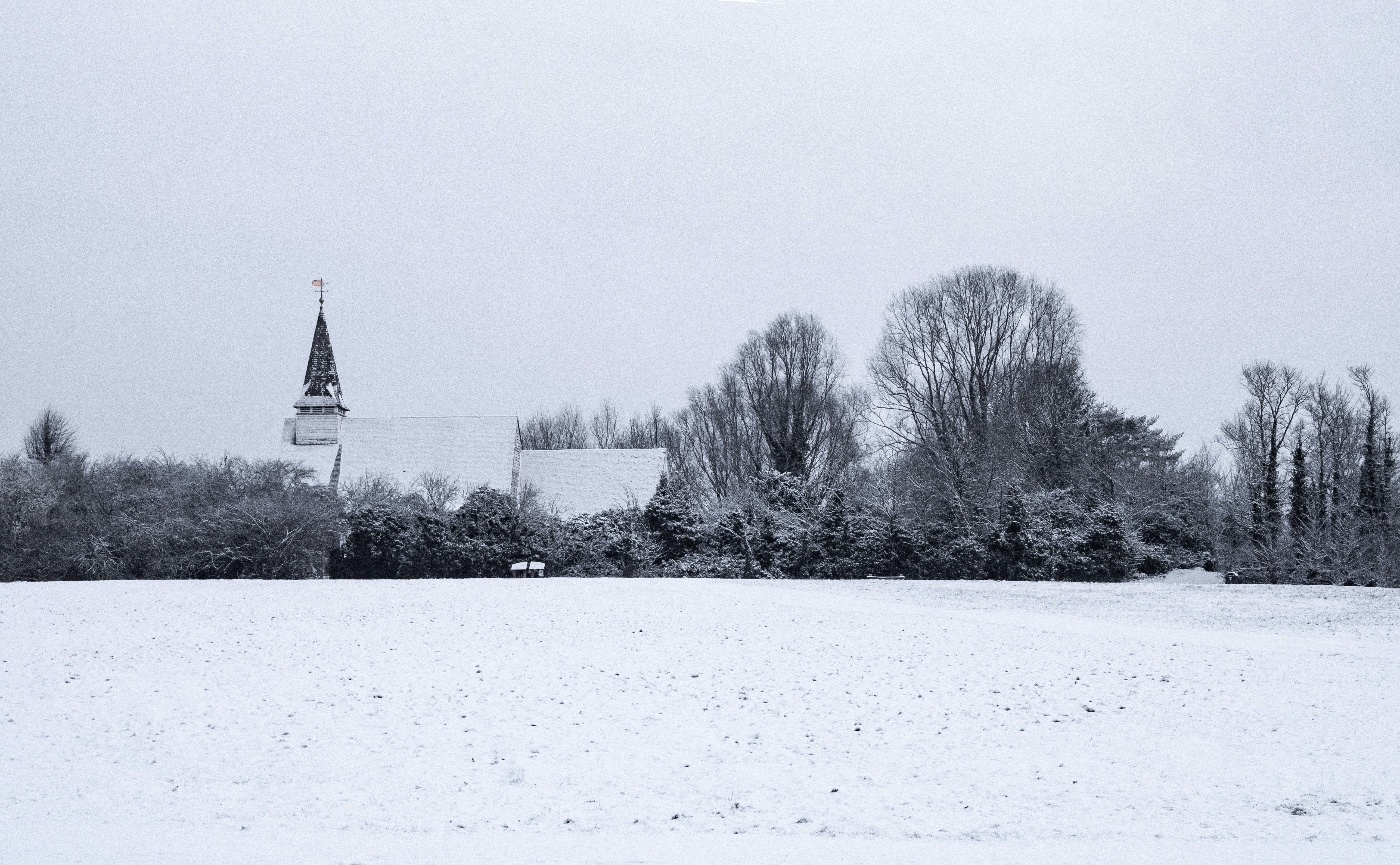 Photo by brett_jordan