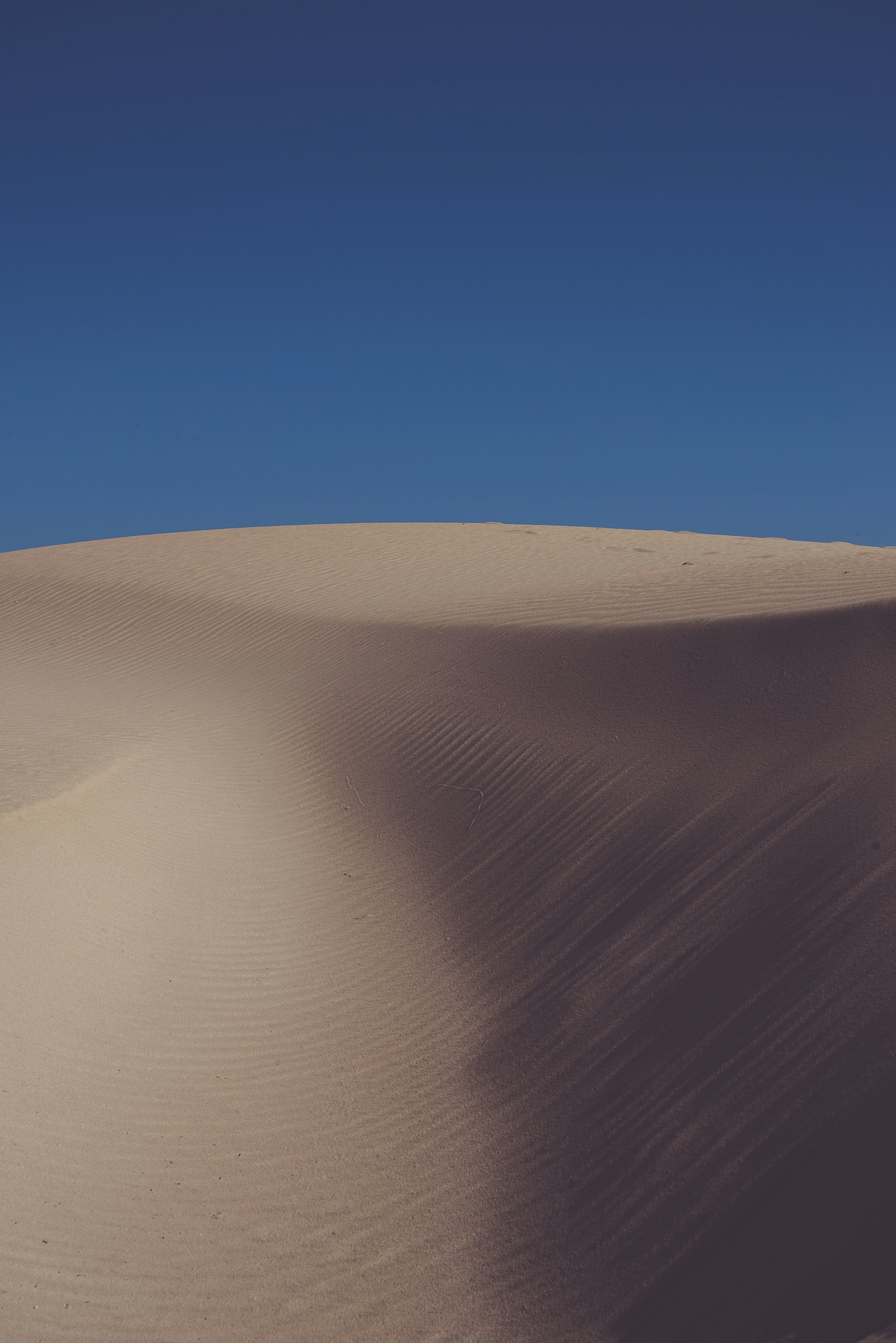 empty desert under blue sky during daytime