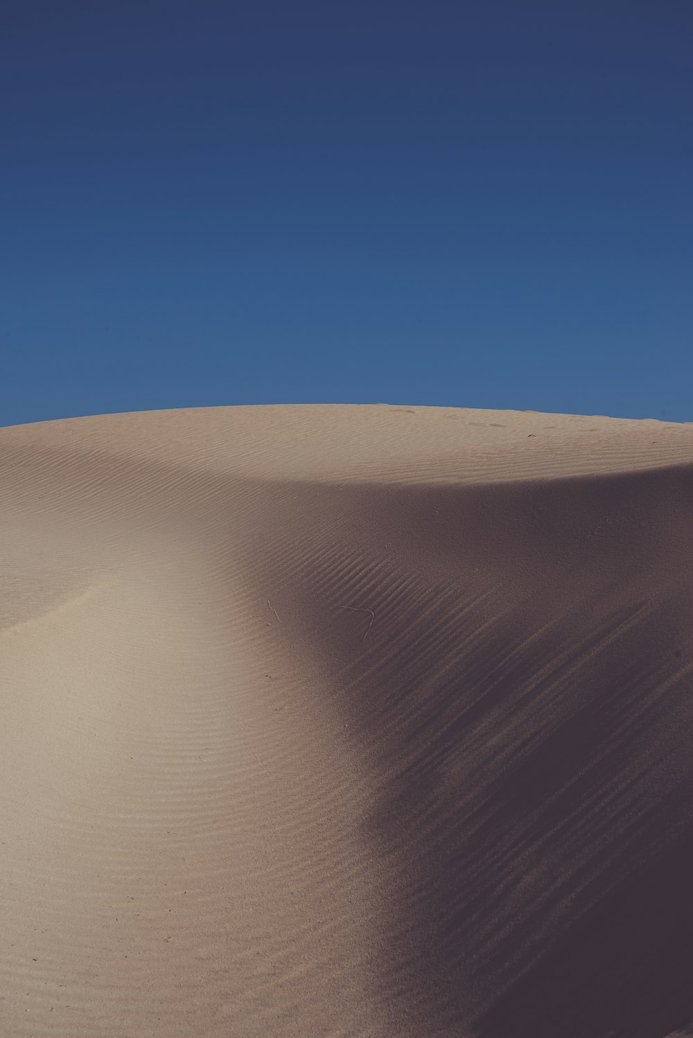 empty desert under blue sky during daytime