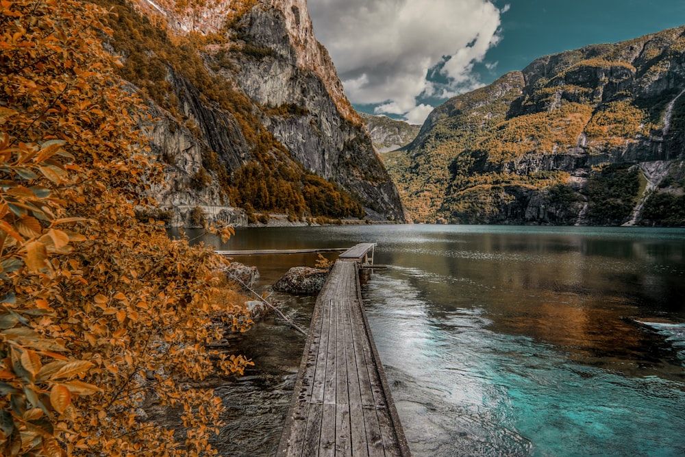 2560x1440 wallpapers free hd download