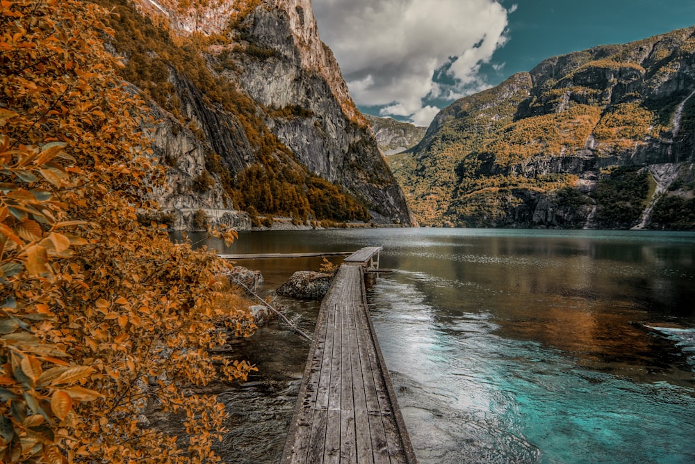 brown wooden dock near mountain during daytime