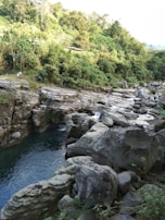 A lush, green landscape with a river flowing through rocky terrain surrounded by dense vegetation. Rocks of various sizes form a rugged riverbank while trees and bushes cover the hillside.