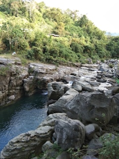 A lush, green landscape with a river flowing through rocky terrain surrounded by dense vegetation. Rocks of various sizes form a rugged riverbank while trees and bushes cover the hillside.