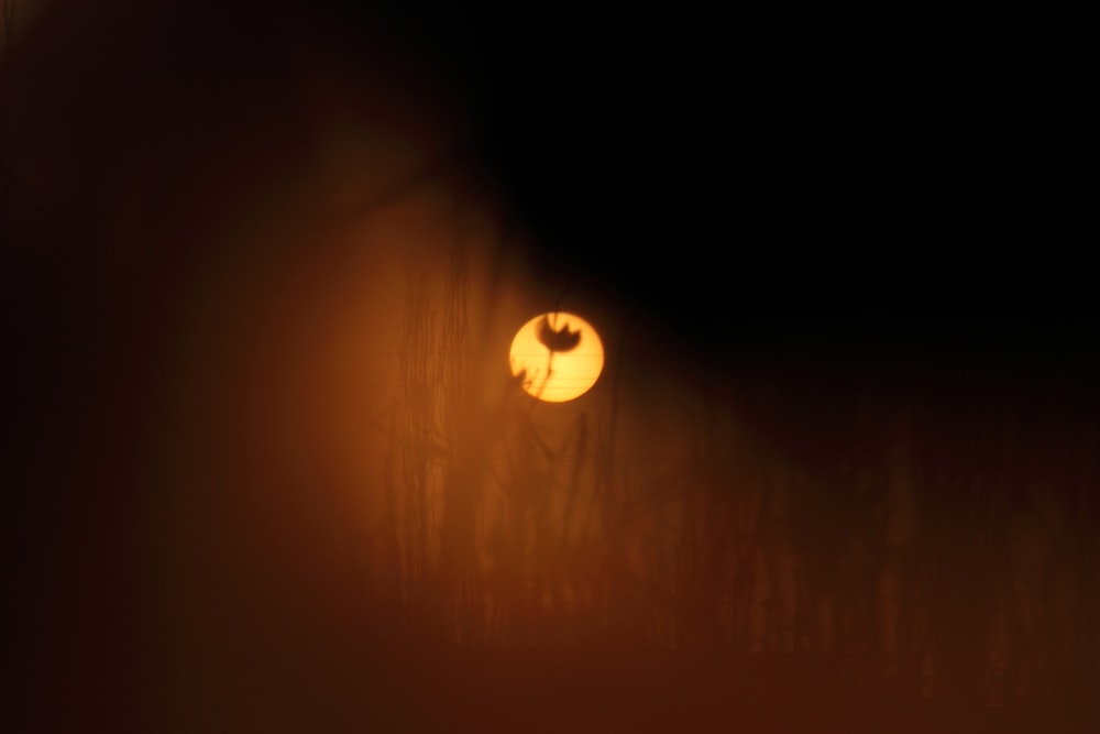 a full moon seen through a dark forest