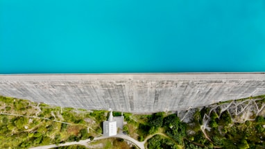 aerial view of trees