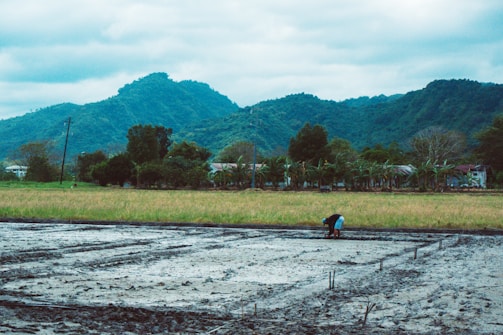 A researcher examining soil samples in a rural field