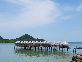 Cozy seaside pension surrounded by turquoise waters and natural wooden accents under a clear blue sky.