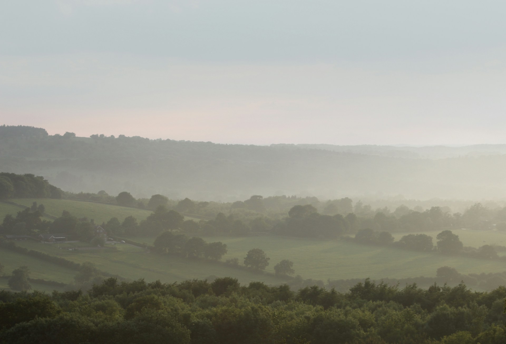 A panoramic view of the coffee farm on the green hills with a soft mist hovering over the trees.