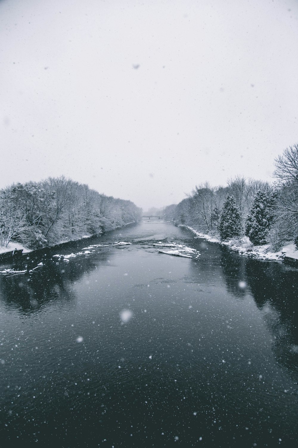 lake between trees covered with snow during daytime