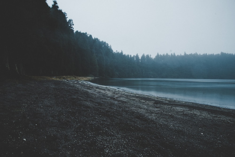 black sand beside body of water under white sky during daytime