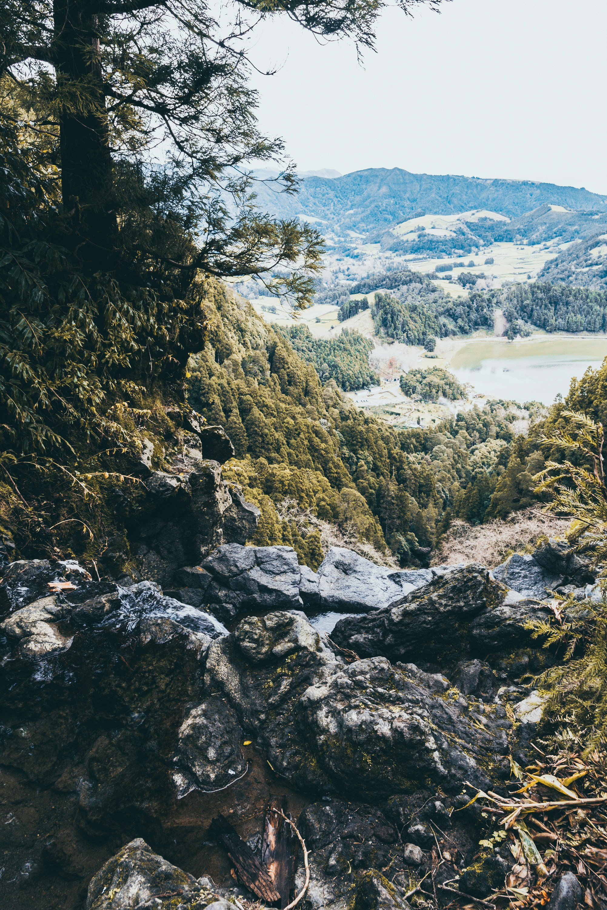 gray stones near tree during daytime
